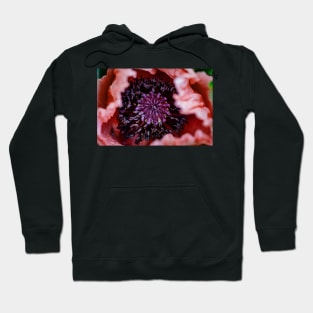 Oriental Poppy Hoodie